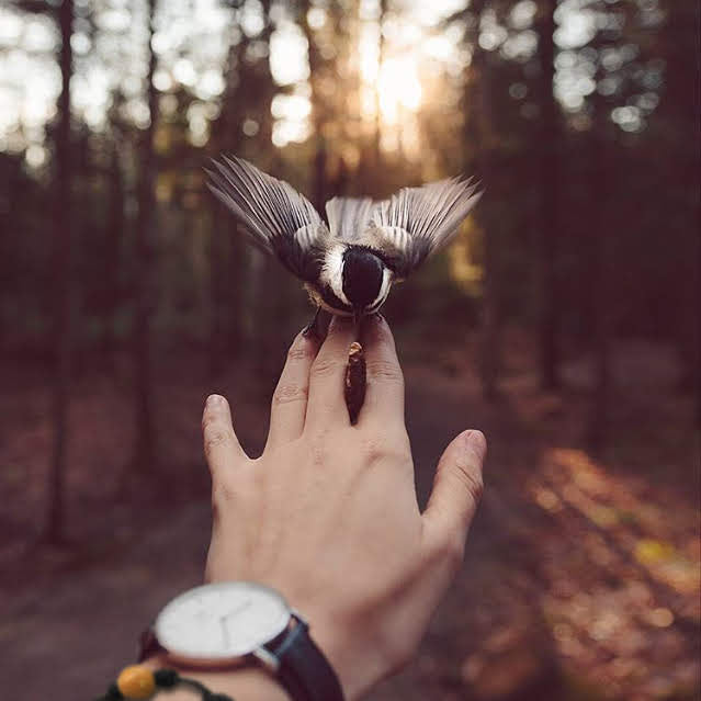 Mountain Life | Earth Vibes