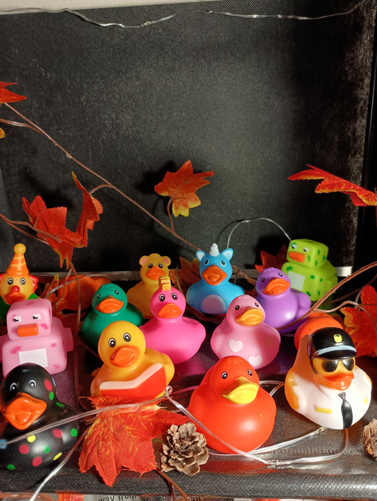 Random Rubber Ducks $1.50 ea.
